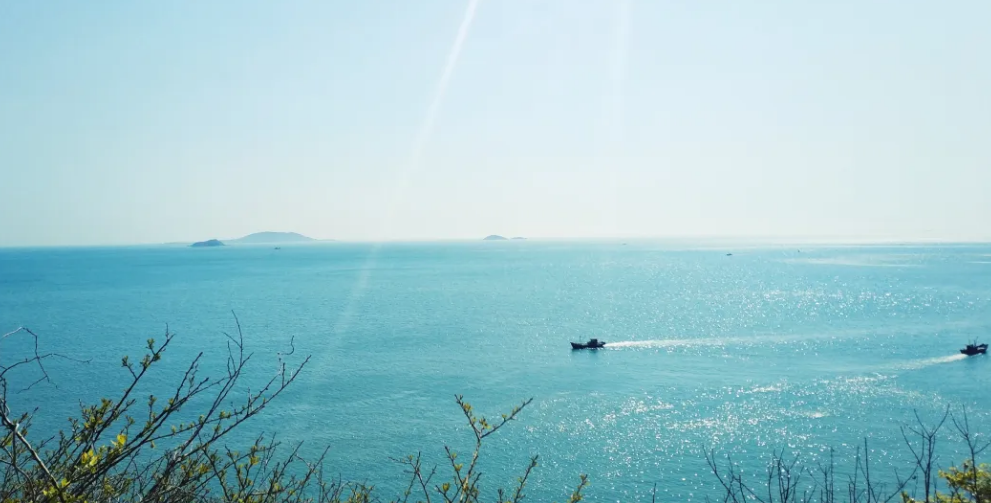 圖片2.png 圖片2.png